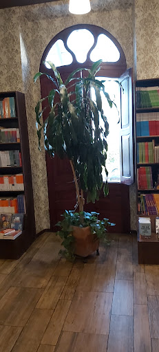 Librería Ochoa - Visual