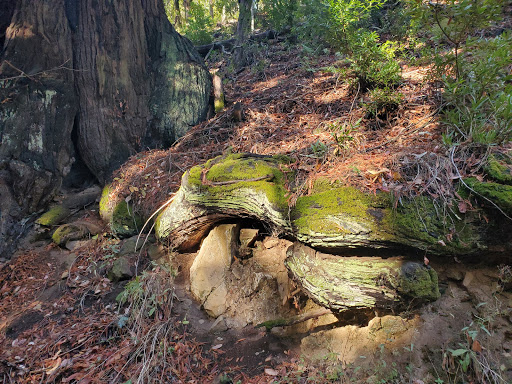 Wunderlich County Park - Thumbnail
