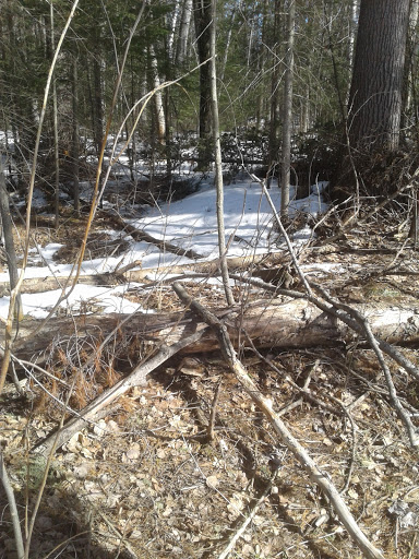 Shady Nook Recreation Centre - Thumbnail