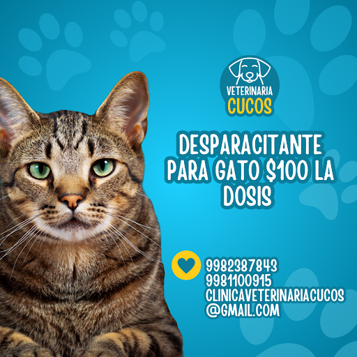Estetica y clinica veterinaria cucos Paseos del mar