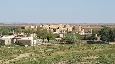 Photos of Date Harran University