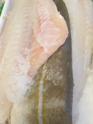 Gresham Fisheries