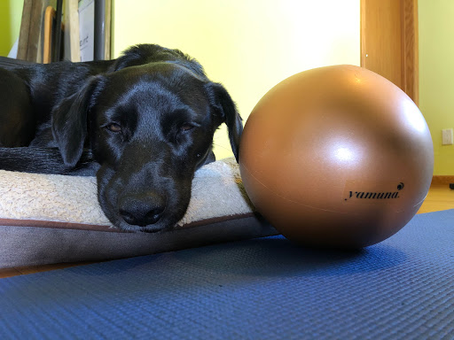 Unfurl Bodywork & Wellness - Madison Near West - Thumbnail