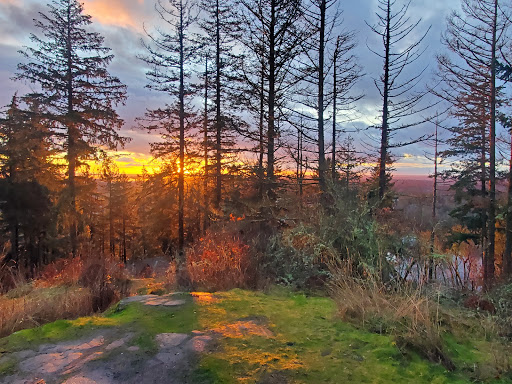 Cedar Mountain