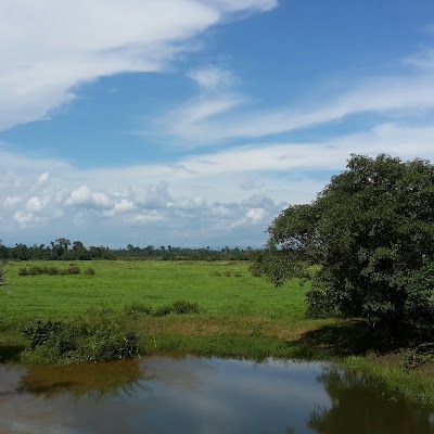 Photos of Kingfisher Ecolodge