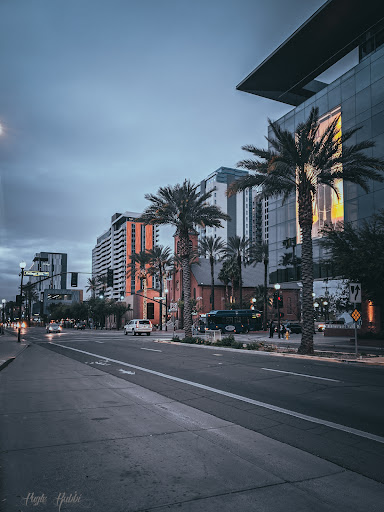 Arizona State University Foundation Gallery - United States