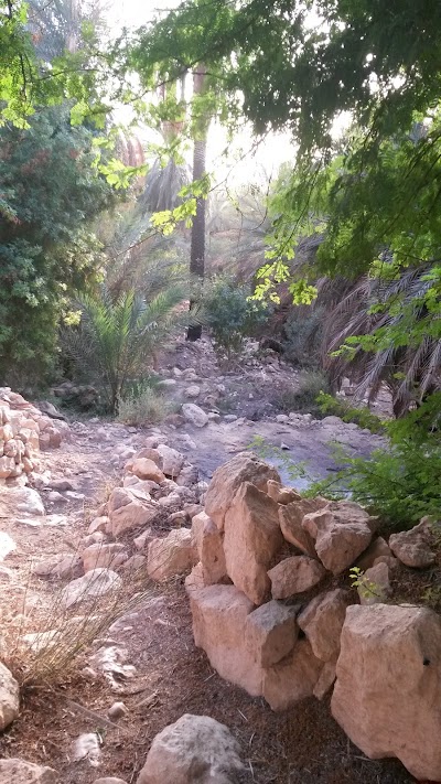 Photos of Alriyayna