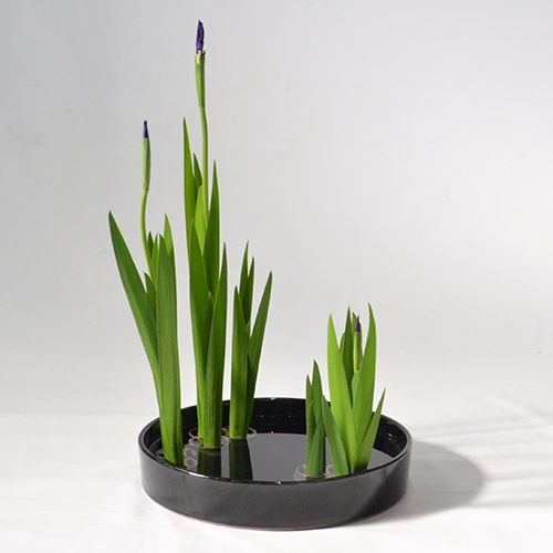 青山花茂（AOYAMA HANAMO） いけばな事業部