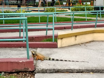 Photos of Malec&oacute;n