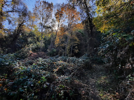 Mill Creek Park Ridge Trailhead - Thumbnail