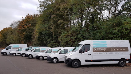 Sauvage (S) Peinture