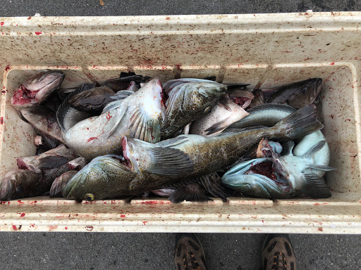 Charthouse Sport Fishing - Thumbnail