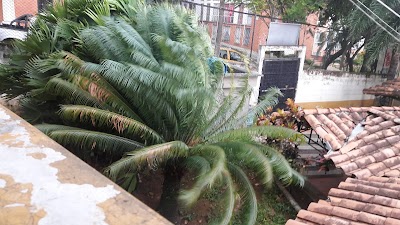 Photos of Colegio Alfonso L&oacute;pez Pumarejo