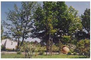 Photo n°7 de Gites du Planas à Ailhon (Chambre d'hôtes)