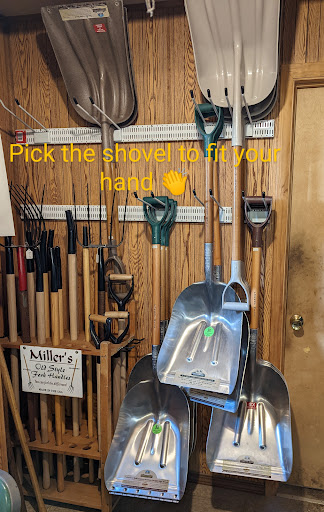 Maysville Elevator - Visual