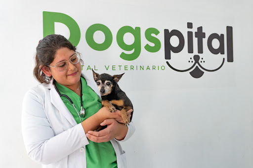 Dogspital Veterinario a Domicilio en Aguascalientes