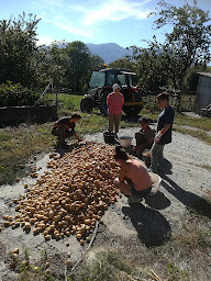 Photo n°15 de GAEC de FUGIÈRES à Saint-Honoré (Magasin de produits de la ferme)
