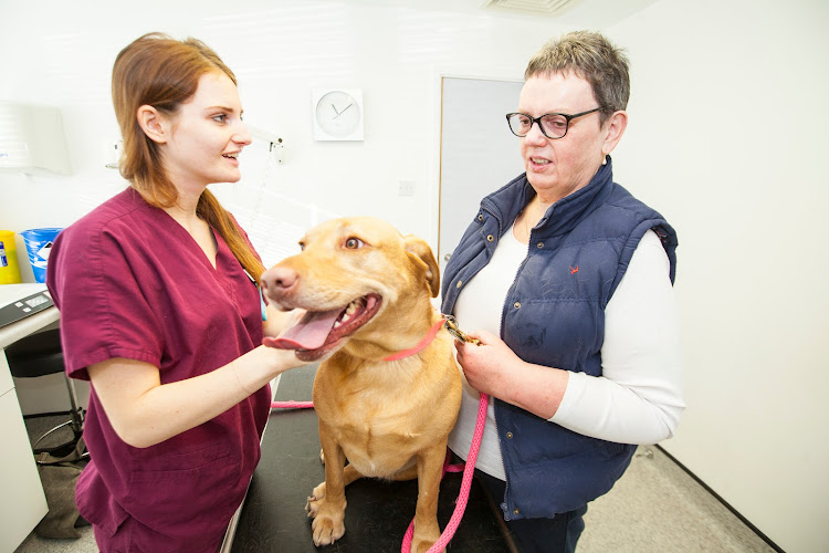 Well House Veterinary Clinic Crowborough