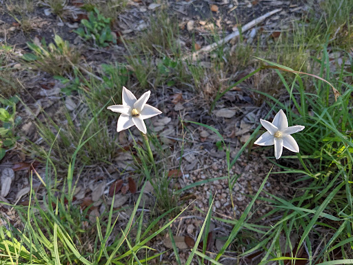 Deerbrooke Walking Trail - Thumbnail