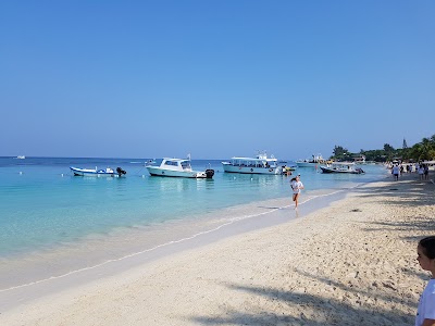 travel-agency