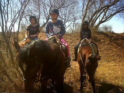 Photos of Cathedral Horse Riding