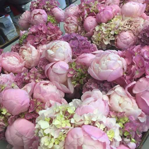 Full Bloom