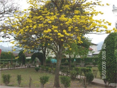 Photos of Municipal Park