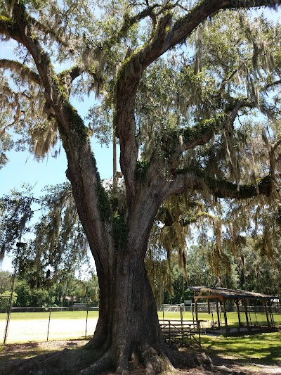 City of Micanopy Ballpark