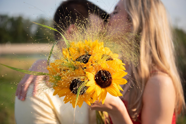 Cichy Kącik, 30-066 Kraków