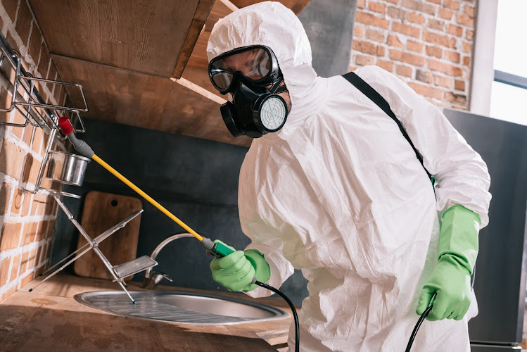 X-Guard Pest Control work photo 1