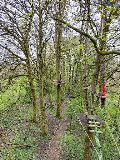 Raven Tree Top Adventure Gallery - United Kingdom
