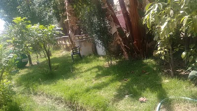 Photos of restaurant Donde la Tere