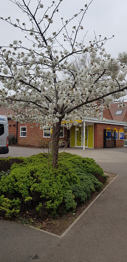 Alfred Sutton Primary School - Thumbnail