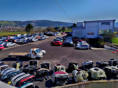 ΓΚΟΗΣ ΣΚΟΤΡΑΣ Ο.Ε.