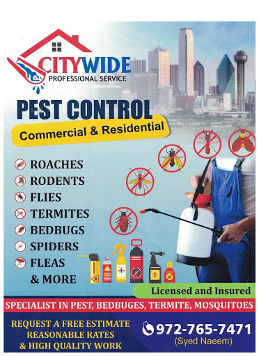 Citiwide Roofing - Thumbnail