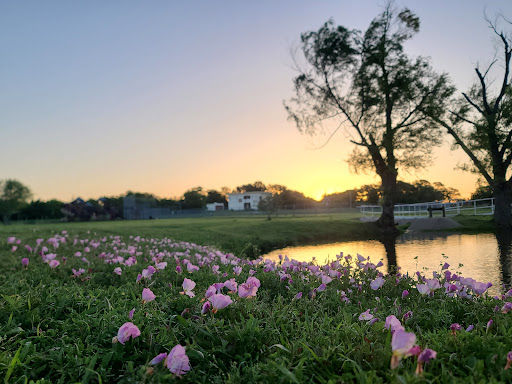 Mid Town Lee Smith Park