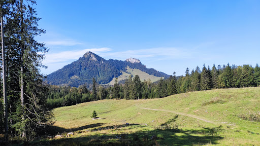 Wagneralm - Visual