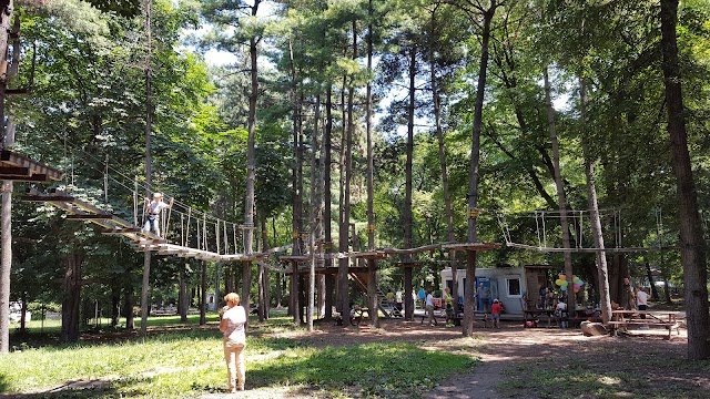 Adventure Park Herăstrău