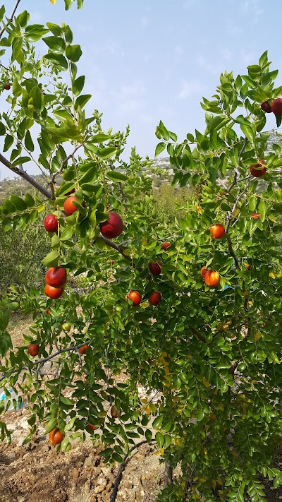 Ptt-sarıkaya Şubesi