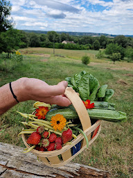Photo n°28 de Maison aurinko à Thenon (Chambre d'hôtes)
