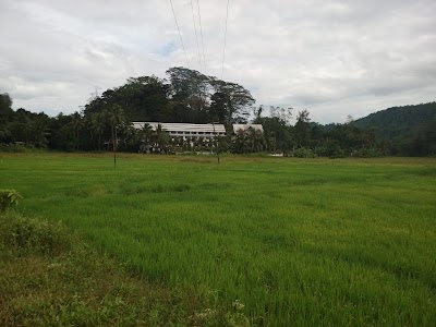 Photos of Rekadahena Plantation (Pvt) Ltd