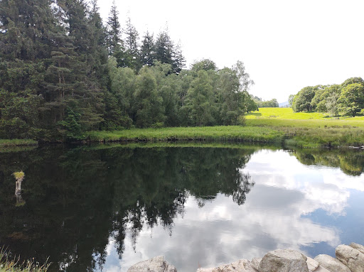 Skelwith Force - Visual