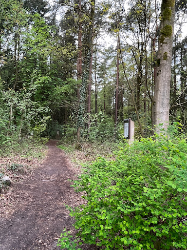 Waldlehrpfad Neuenkirchen