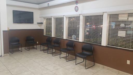 Apollo Veterinary Hospital - Thumbnail