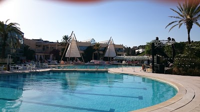 Photos of King of Bahrain Kingdom Forest