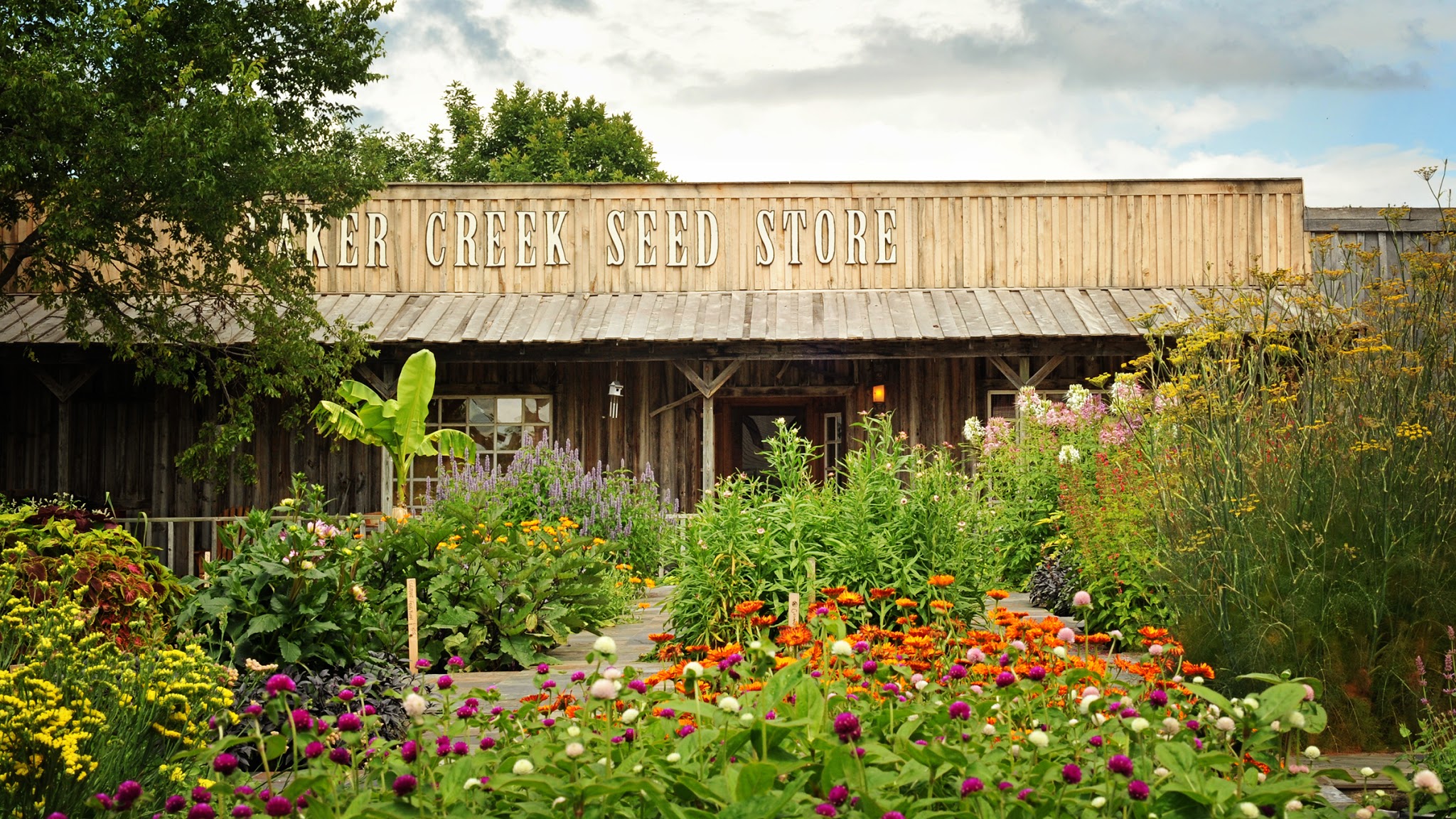 Baker Creek Heirloom Seed
