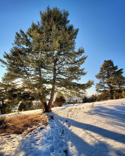 Sypes Canyon Trailhead