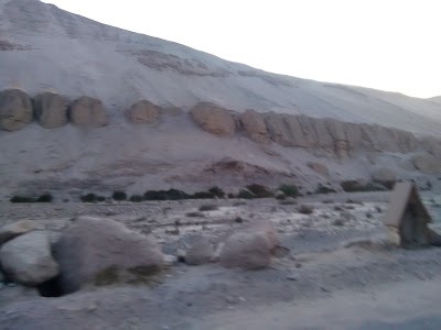 Photos of Valle de Azapa