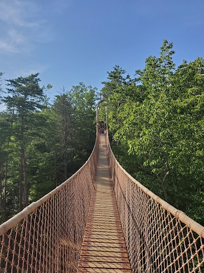 CLIMB Works Smoky Mountains - Zipline Tour