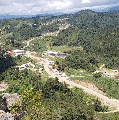 VOTAMESTE - Visual